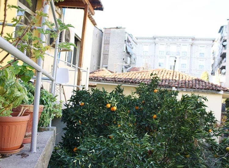 تيرانا Orange Villa Hotel المظهر الخارجي الصورة