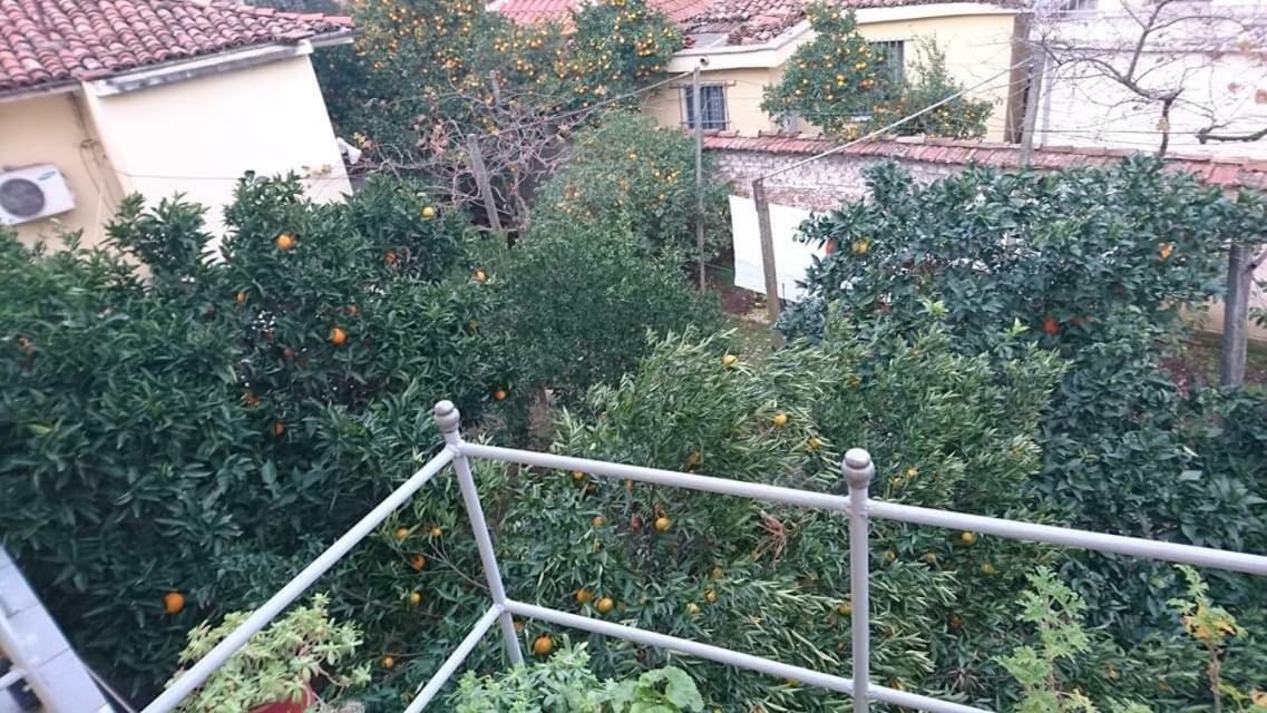 تيرانا Orange Villa Hotel المظهر الخارجي الصورة